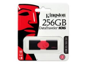 Kingston 256GB DataTraveler 106