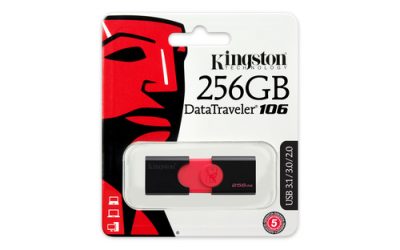 Kingston 256GB DataTraveler 106