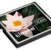 Kingston 8GB CompactFlash - Afbeelding 2