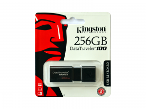 Kingston 256GB DataTraveler 100 G3