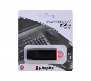 Kingston 256GB DataTraveler Exodia